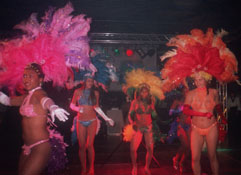samba danseressen tropisch show